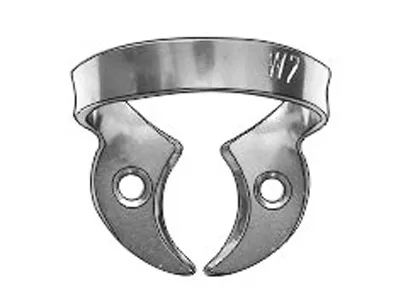 Molar Clamp